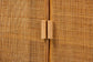 bali & pari Paloma Modern Bohemian Light Honey Rattan Large Storage Cabinet FredCo