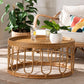 bali & pari Phoenix Modern Bohemian Light Honey Rattan Coffee Table FredCo