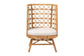 bali & pari Tania Bohemian Light Honey Rattan Accent Chair FredCo