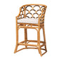 bali & pari Veneto Modern Bohemian Light Honey and Dark Brown Rattan Bar Stool FredCo