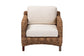 bali & pari Vevina Modern Bohemian Dark Brown Mahogany Wood and Woven Seagrass Arm Chair FredCo
