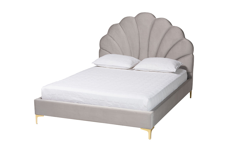 Baxton Studio Acosta Glam and Luxe Light Grey Velvet Seashell-Headboard Queen Size Platform Bed FredCo