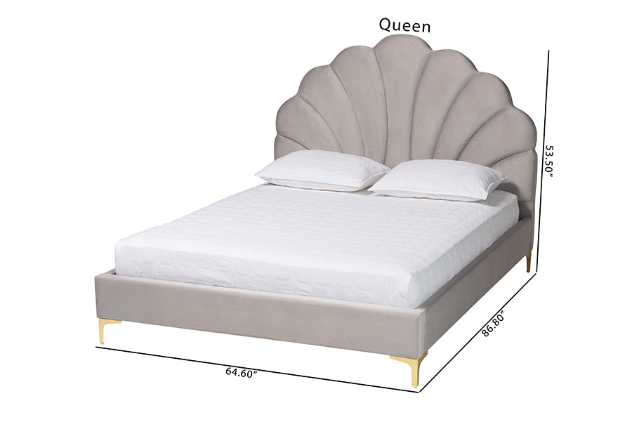 Baxton Studio Acosta Glam and Luxe Light Grey Velvet Seashell-Headboard Queen Size Platform Bed FredCo
