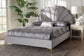 Baxton Studio Acosta Glam and Luxe Light Grey Velvet Seashell-Headboard Queen Size Platform Bed FredCo