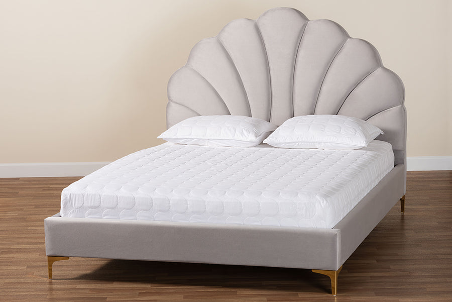Baxton Studio Acosta Glam and Luxe Light Grey Velvet Seashell-Headboard Queen Size Platform Bed FredCo