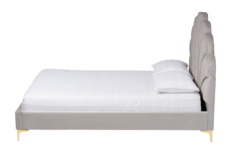 Baxton Studio Acosta Glam and Luxe Light Grey Velvet Seashell-Headboard Queen Size Platform Bed FredCo