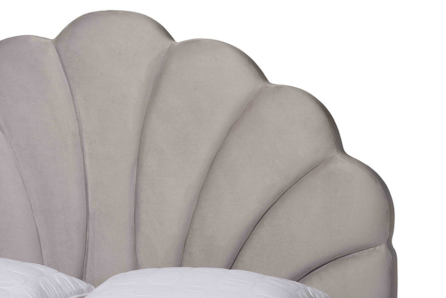 Baxton Studio Acosta Glam and Luxe Light Grey Velvet Seashell-Headboard Queen Size Platform Bed FredCo