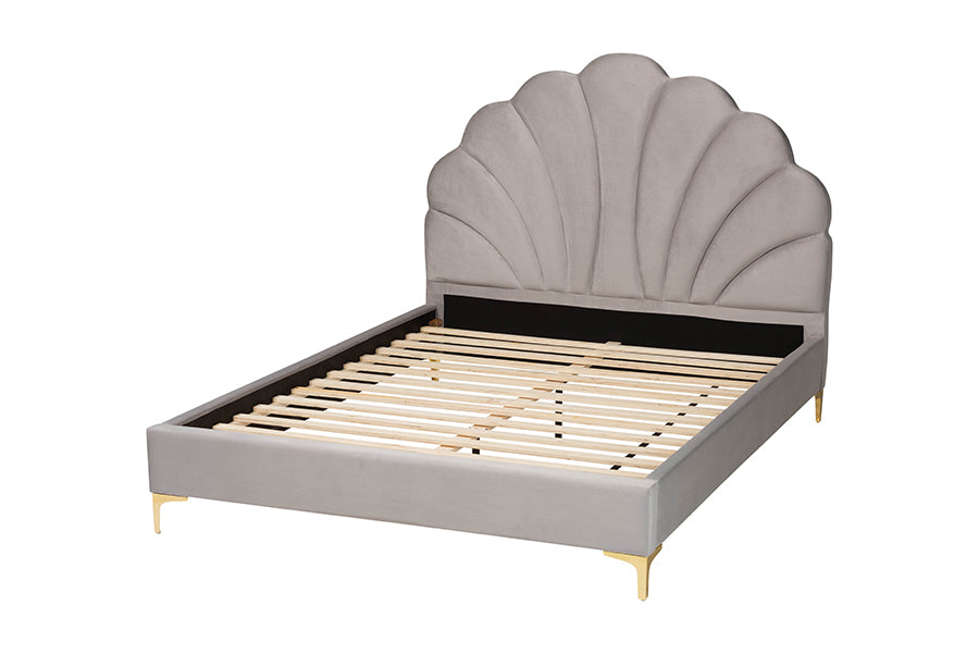 Baxton Studio Acosta Glam and Luxe Light Grey Velvet Seashell-Headboard Queen Size Platform Bed FredCo