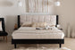 Baxton Studio Adriano Transitional Beige Fabric and Black Wood Queen Size Bed with Built-In Side Tables FredCo