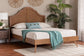 Baxton Studio Alecia Mid-Century Ash Walnut Wood Queen Size Platform Bed FredCo