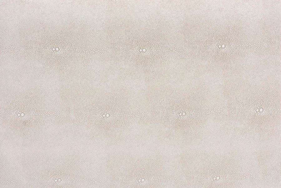 Baxton Studio Brenner Modern Transitional Beige Faux Shagreen Storage Trunk FredCo