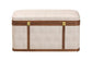 Baxton Studio Brenner Modern Transitional Beige Faux Shagreen Storage Trunk FredCo