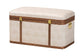 Baxton Studio Brenner Modern Transitional Beige Faux Shagreen Storage Trunk FredCo