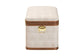 Baxton Studio Brenner Modern Transitional Beige Faux Shagreen Storage Trunk FredCo