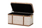 Baxton Studio Brenner Modern Transitional Beige Faux Shagreen Storage Trunk FredCo