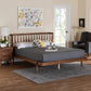 Baxton Studio Calderon Retro-Modern Walnut Brown Finished Wood Queen Size Platform Bed FredCo