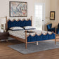 Baxton Studio Calgary Retro-Modern Royal Blue Velvet Fabric and Walnut Brown Wood Queen Size Platform Bed FredCo