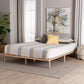 Baxton Studio Calhoun Japandi Queen Size Bed Frame FredCo