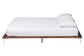 Baxton Studio Channary Mid-Century Modern Transitional Walnut Brown Finished Wood and Gold Metal Bed Frame FredCo