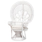 Baxton Studio Ediva Modern Bohemian White Natural Rattan Peacock Accent Chair FredCo