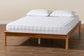 Baxton Studio Efren Mid-Century Modern Honey Oak Finished Wood Bed Frame FredCo