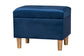 Baxton Studio Elias Modern Navy Blue Velvet Fabric Storage Ottoman FredCo