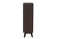 Baxton Studio Giancarlo Mid-Century Modern Espresso Brown Wood 2-Door Shoe Cabinet with Rattan Door FredCo