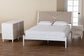 Baxton Studio Louetta Coastal White Caved Contrasting King Size 3-Piece Bedroom Set FredCo