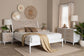 Baxton Studio Louetta Coastal White Caved Contrasting Queen Size 4-Piece Bedroom Set FredCo