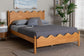 Baxton Studio Malaya Modern Oak Brown Wood Queen Platform Bed with Scalloped Edges FredCo