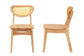 Baxton Studio Nenet Mid-Century Modern Oak Brown Finished Wood and Rattan 2-Piece Dining Chair Set FredCo