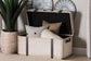 Baxton Studio Nevio Vintage Weathered White Canvas Storage Trunk FredCo