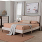 Baxton Studio Nikolai Mid-Century Channel Tufted Beige Fabric and Wenge Brown Wood Queen Bed FredCo