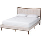 Baxton Studio Nikolai Mid-Century Channel Tufted Beige Fabric and Wenge Brown Wood Queen Bed FredCo