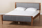 Baxton Studio Powers Mid-Century Modern Grey Fabric and Ash Walnut Finished Wood Platform Bed FredCo