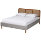 Baxton Studio Rosita Mid-Century Modern Transitional Light Grey Velvet Fabric and Walnut Brown Finished Wood Queen Size Platform Bed FredCo