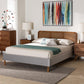 Baxton Studio Rosita Mid-Century Modern Transitional Light Grey Velvet Fabric and Walnut Brown Finished Wood Queen Size Platform Bed FredCo