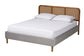 Baxton Studio Rosita Mid-Century Modern Transitional Light Grey Velvet Fabric and Walnut Brown Finished Wood Queen Size Platform Bed FredCo