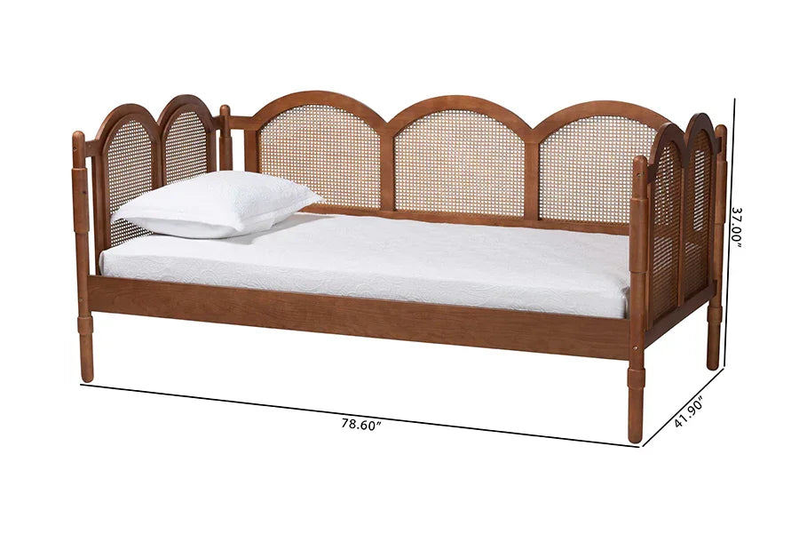 Baxton Studio Twin Carmiya Scalloped Daybed - Wooden Frame with Rattan Panels, Arched Boho Coastal Style Bed for Living Room or Guest Bedroom FredCo