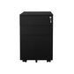 Black Steel File Cabinet FredCo