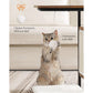 Cat Table FredCo
