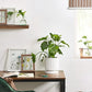 Ceramic Plant Pot Ribbed FredCo