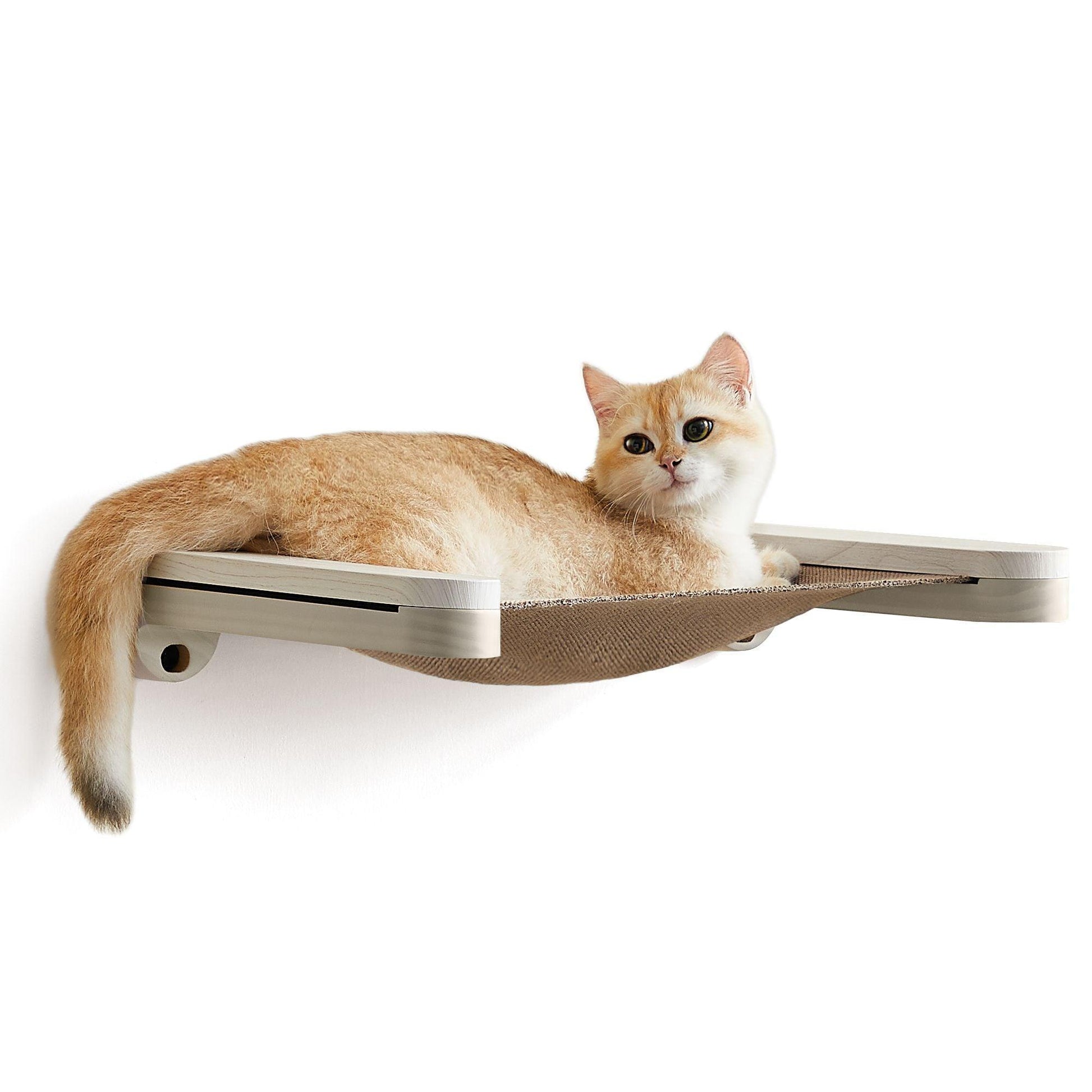 Collection - No.001 Cat Hammock for Wall FredCo