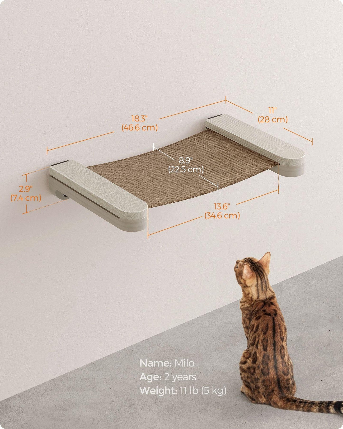 Collection - No.001 Cat Hammock for Wall FredCo