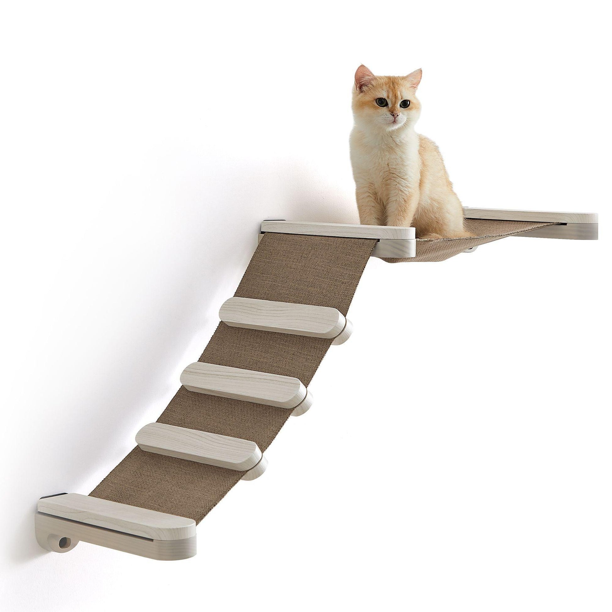 Collection - No.002 Cat Climbing Hammock for Wall FredCo