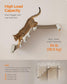 Collection - No.002 Cat Climbing Hammock for Wall FredCo