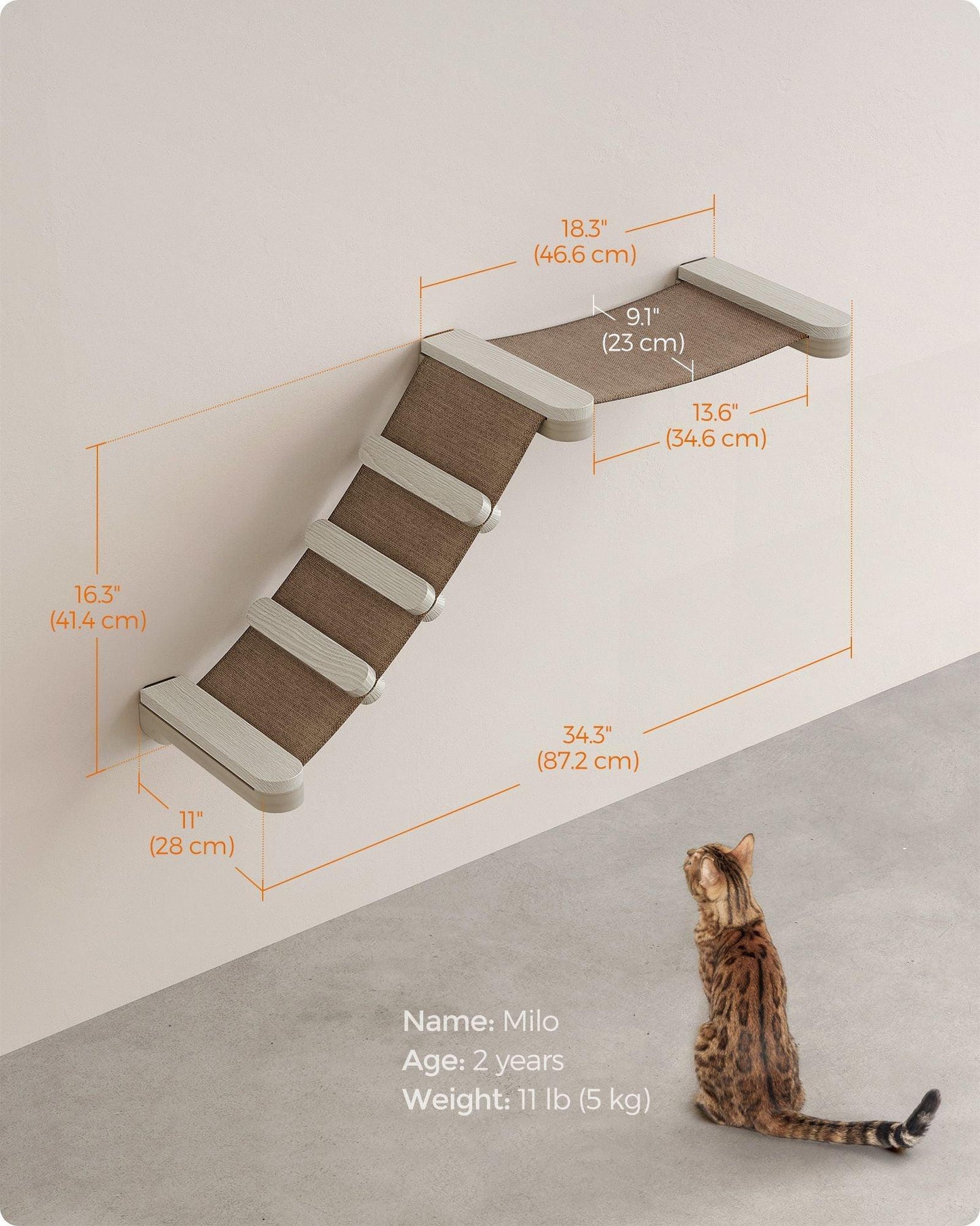 Collection - No.002 Cat Climbing Hammock for Wall FredCo