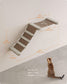 Collection - No.002 Cat Climbing Hammock for Wall FredCo