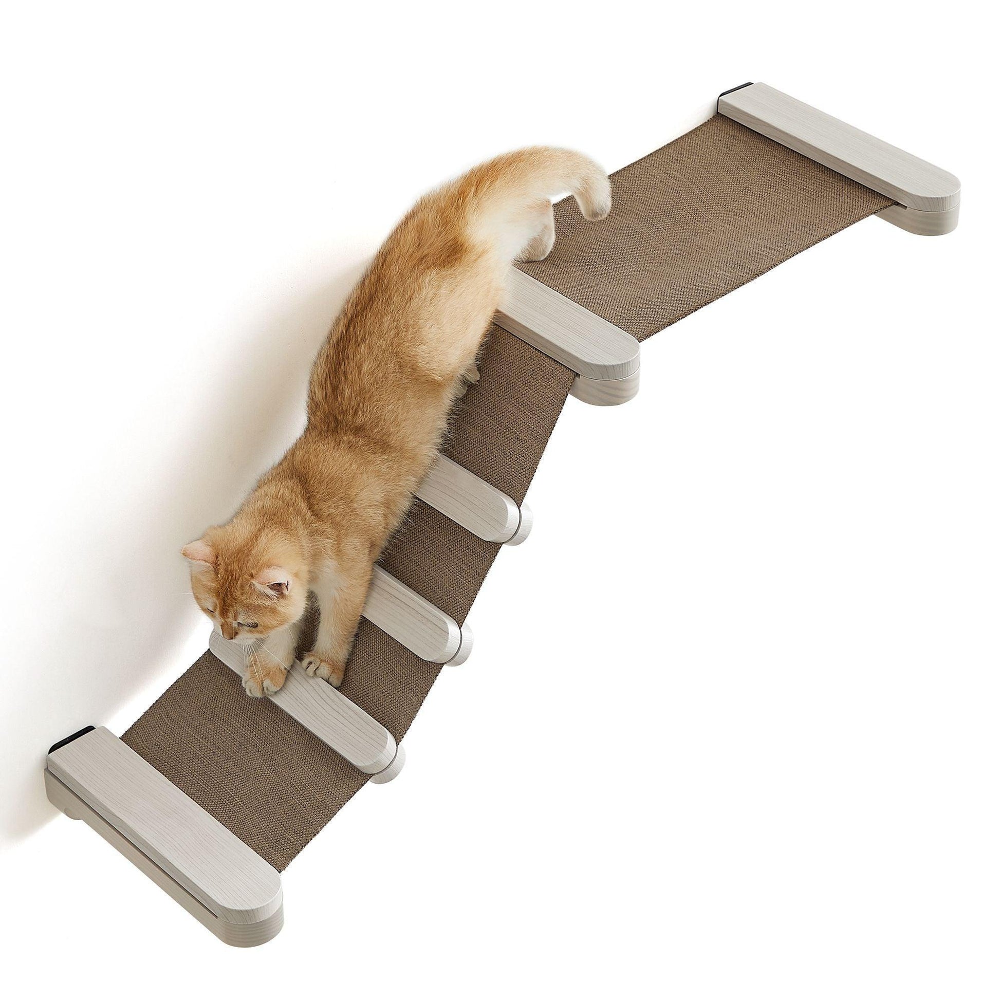 Collection - No.002 Cat Climbing Hammock for Wall FredCo