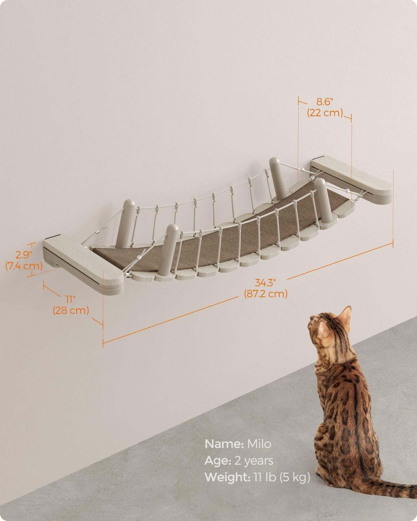 Collection - No.003 Cat Bridge for Wall FredCo